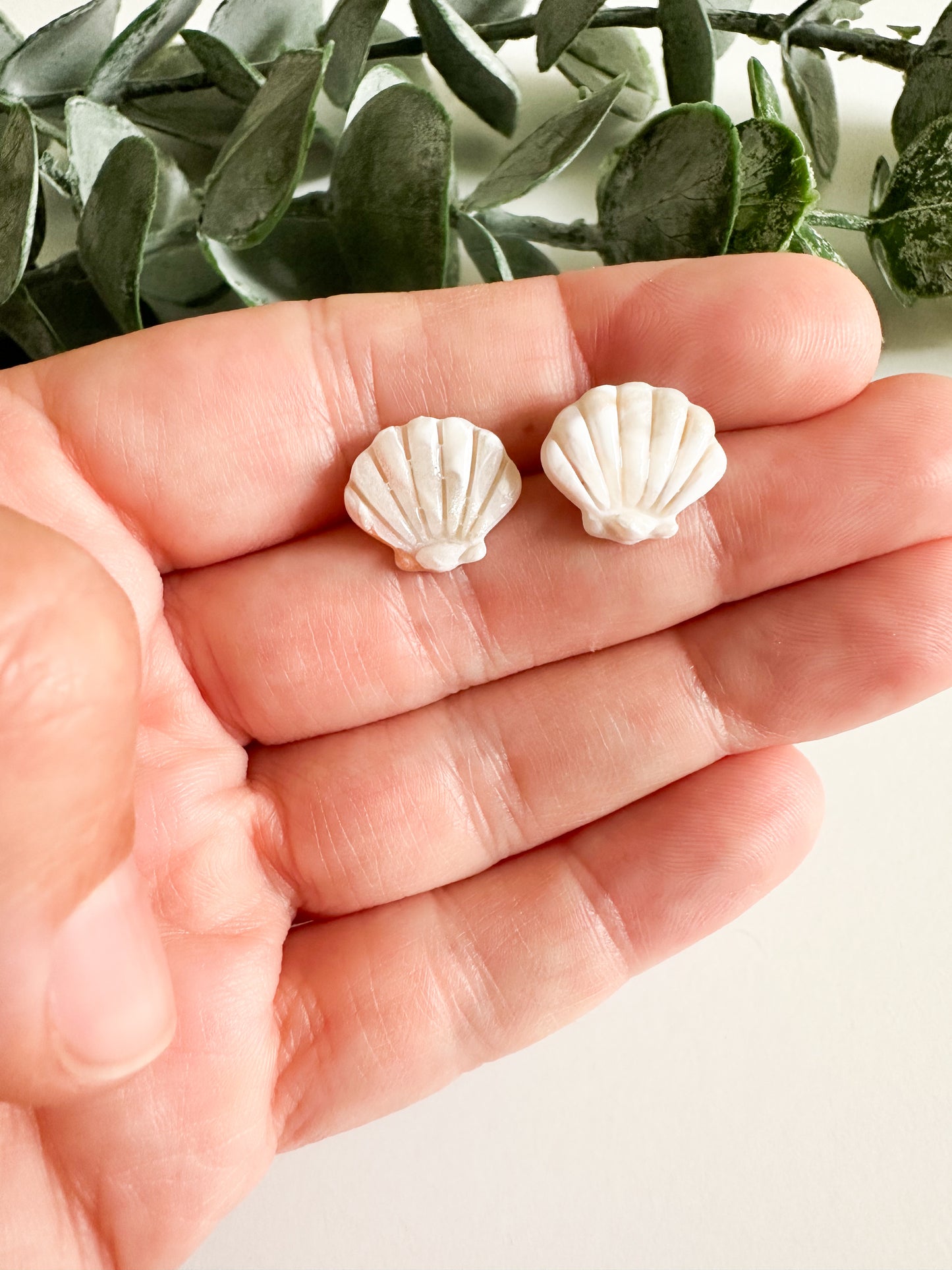Sea Shell Studs
