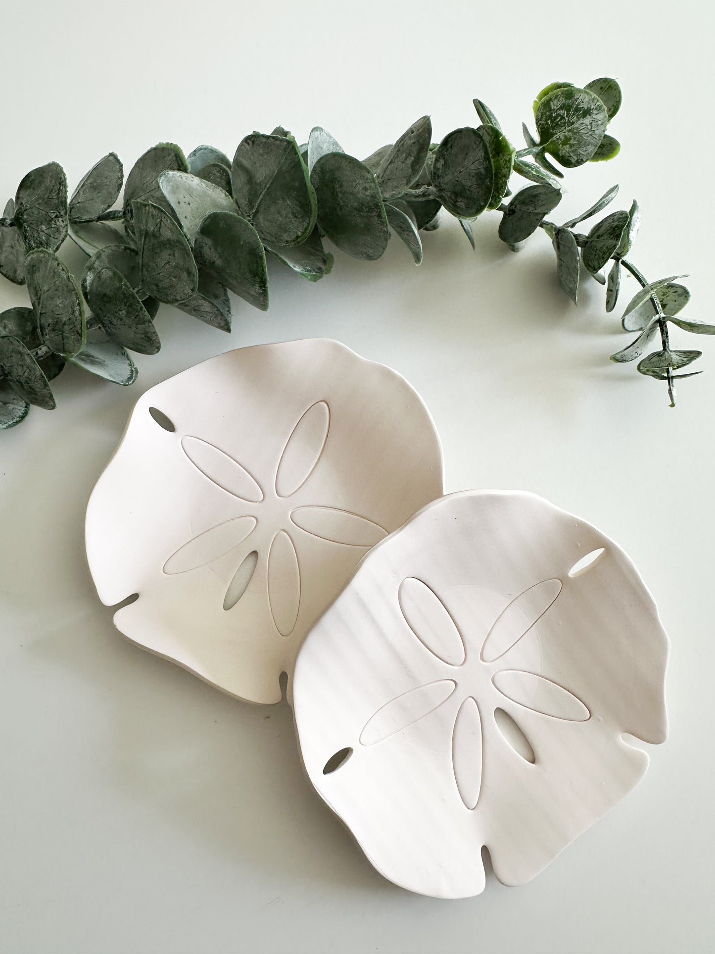 Sand Dollar Trinket Dish