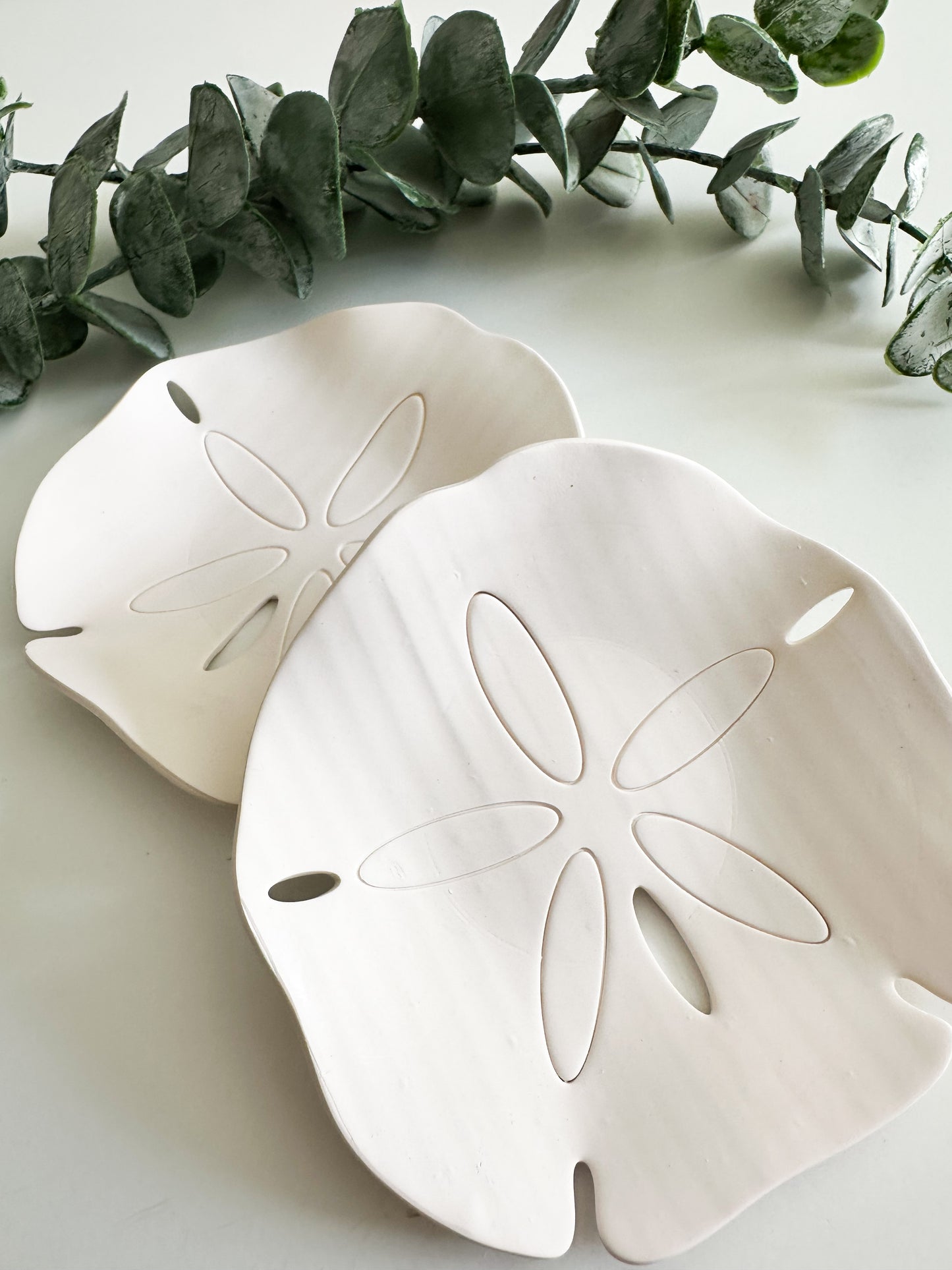 Sand Dollar Trinket Dish